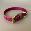 Dottie Wine & Olive Colour Block Collar