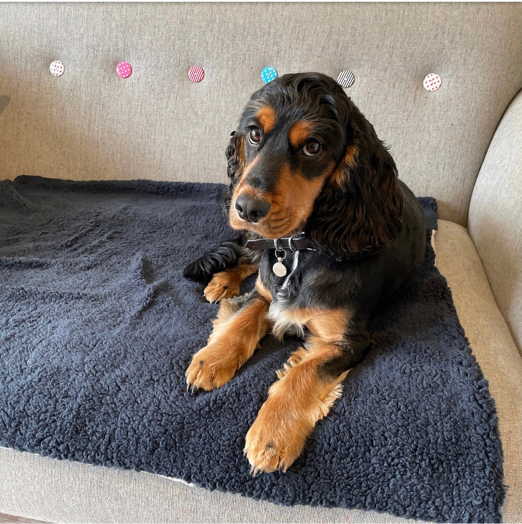 Premium Sherpa Fleece Dog Blanket | Handmade Soft Reversible Pet Throw | Cosy Luxury Dog Bedding UK