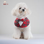 Gentleman - Duke Bandana