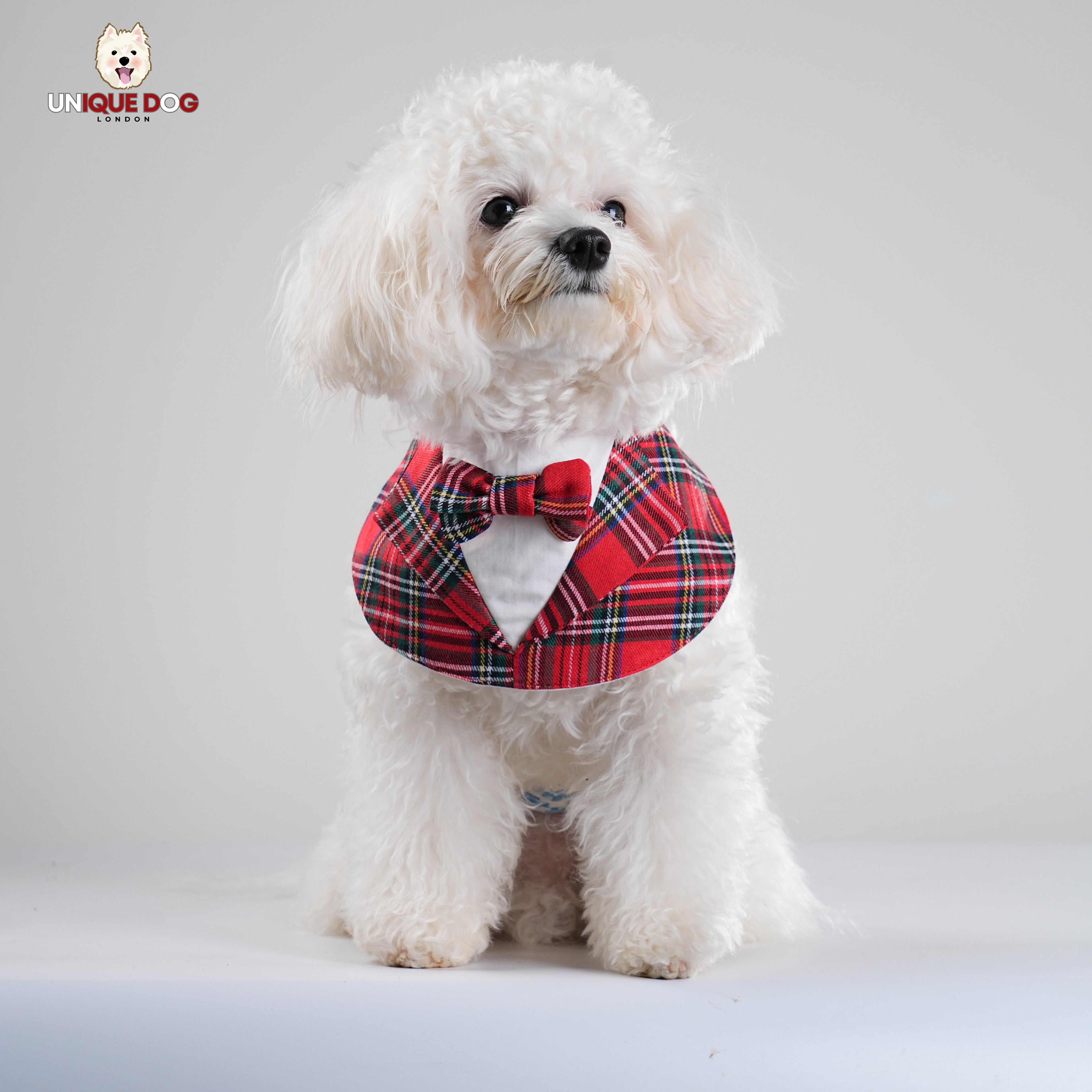 Gentleman - Duke Bandana