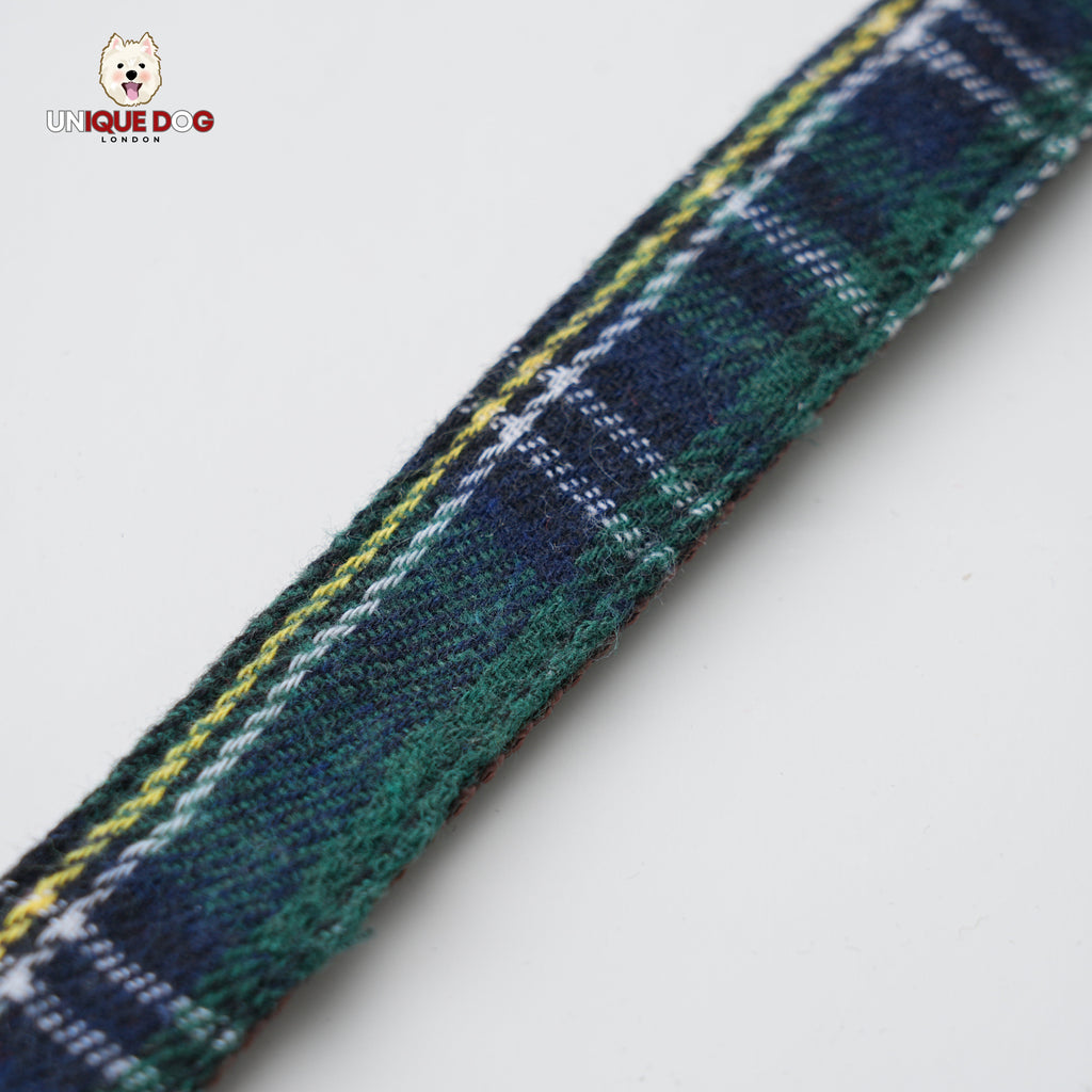 Scottish Heritage - St Andrews Lead