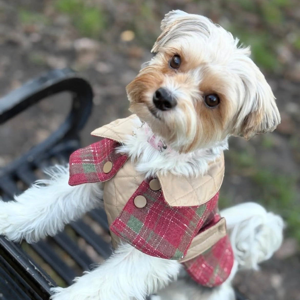 Handmade British Heritage Dog Coat —  Red Tweed Coat