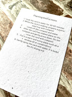 Over the Rainbow Bridge Plantable Keepsake card and Bracelet