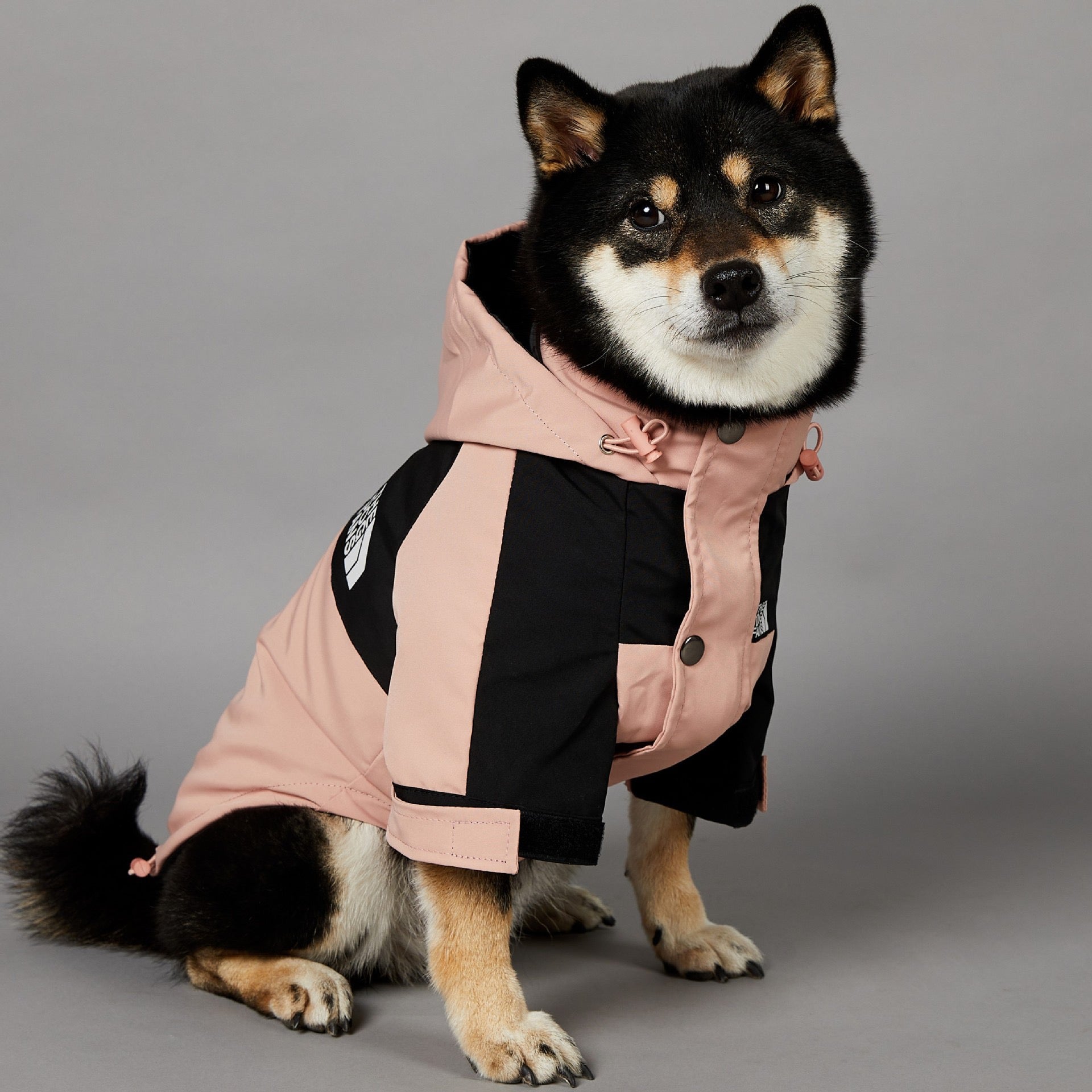 DogFans Waterproof Jacket - Pink
