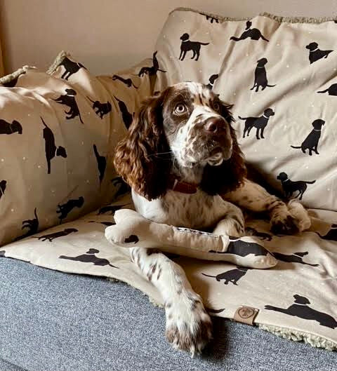 Walter Dog Blanket | Luxury Handmade Reversible Sherpa Fleece | Elegant Dog Print Pet Throw UK