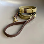 Loki Olive & Brown Colour Block Lead
