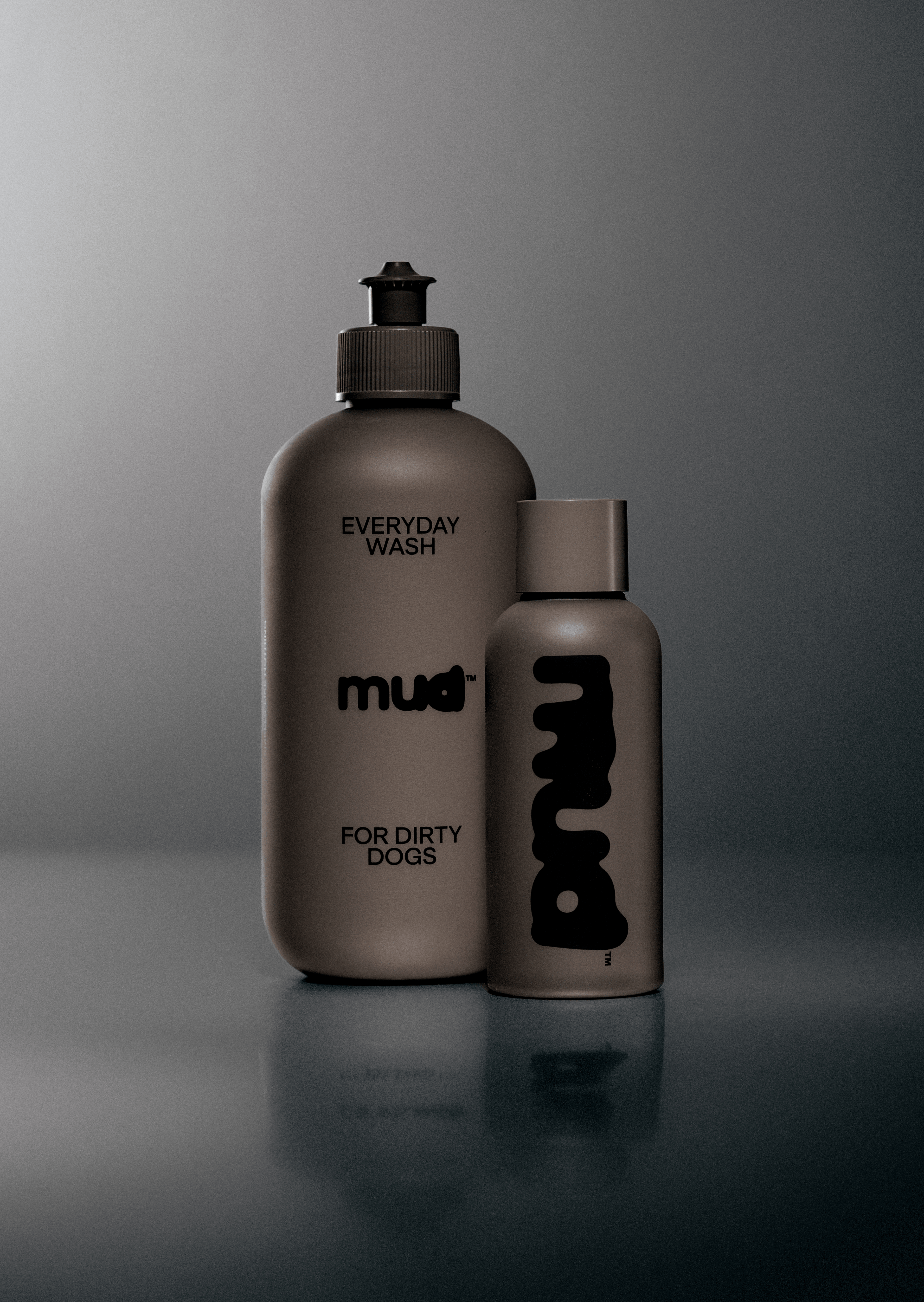 Everyday Wash for Dirty Dogs 90ml