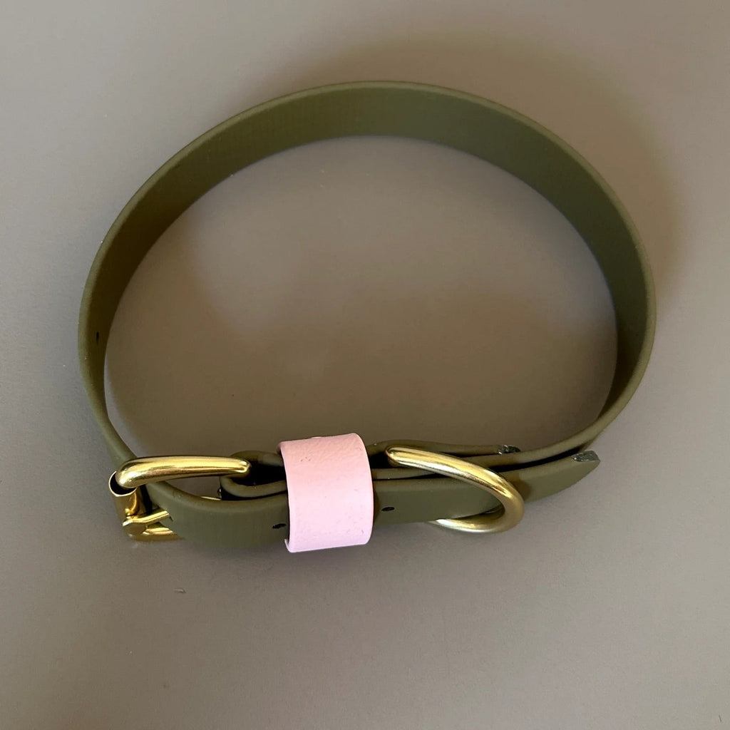 Petra Olive & Pastel Pink Colour Block Collar