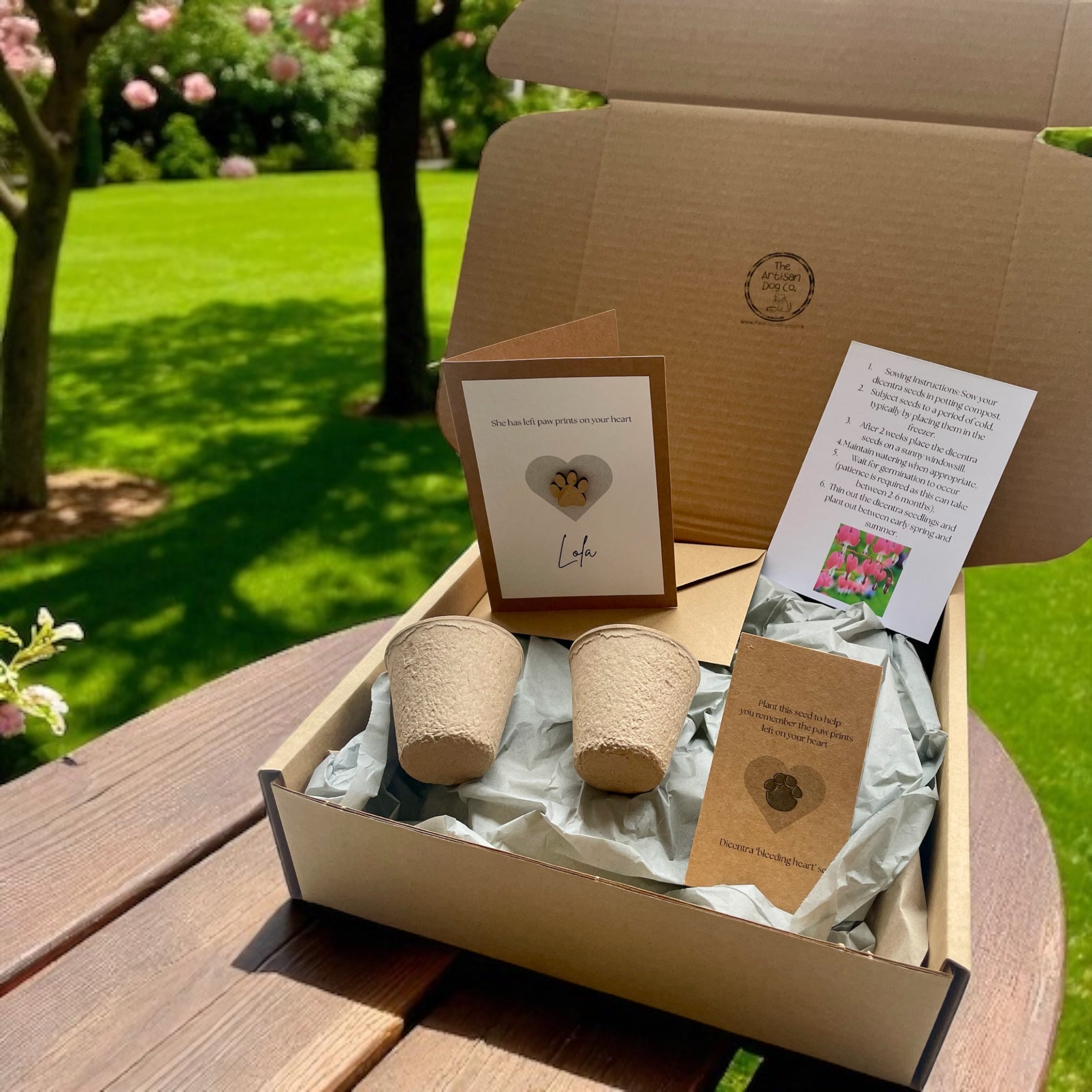 Personalised Pet Sympathy Gift Set – Memorial Plant Seeds & Card for Dog or Cat Loss