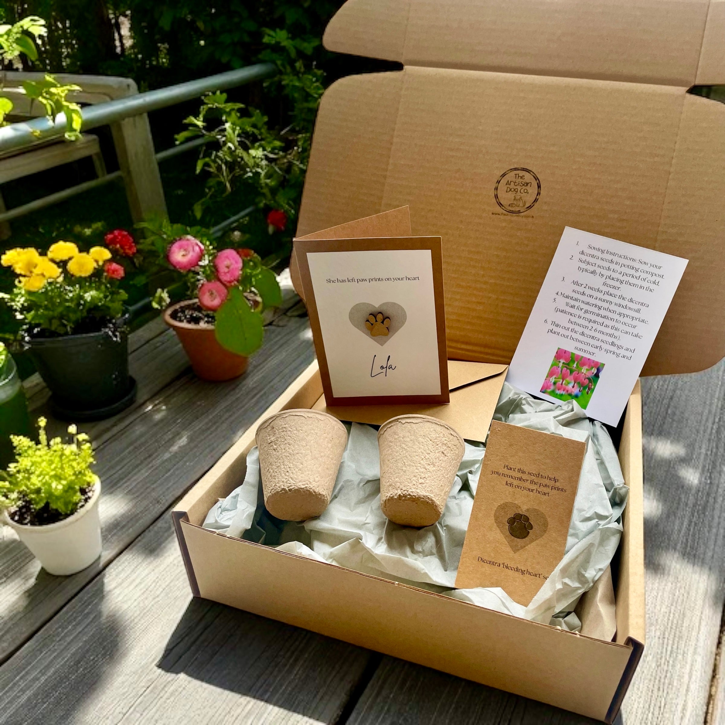 Personalised Pet Sympathy Gift Set – Memorial Plant Seeds & Card for Dog or Cat Loss