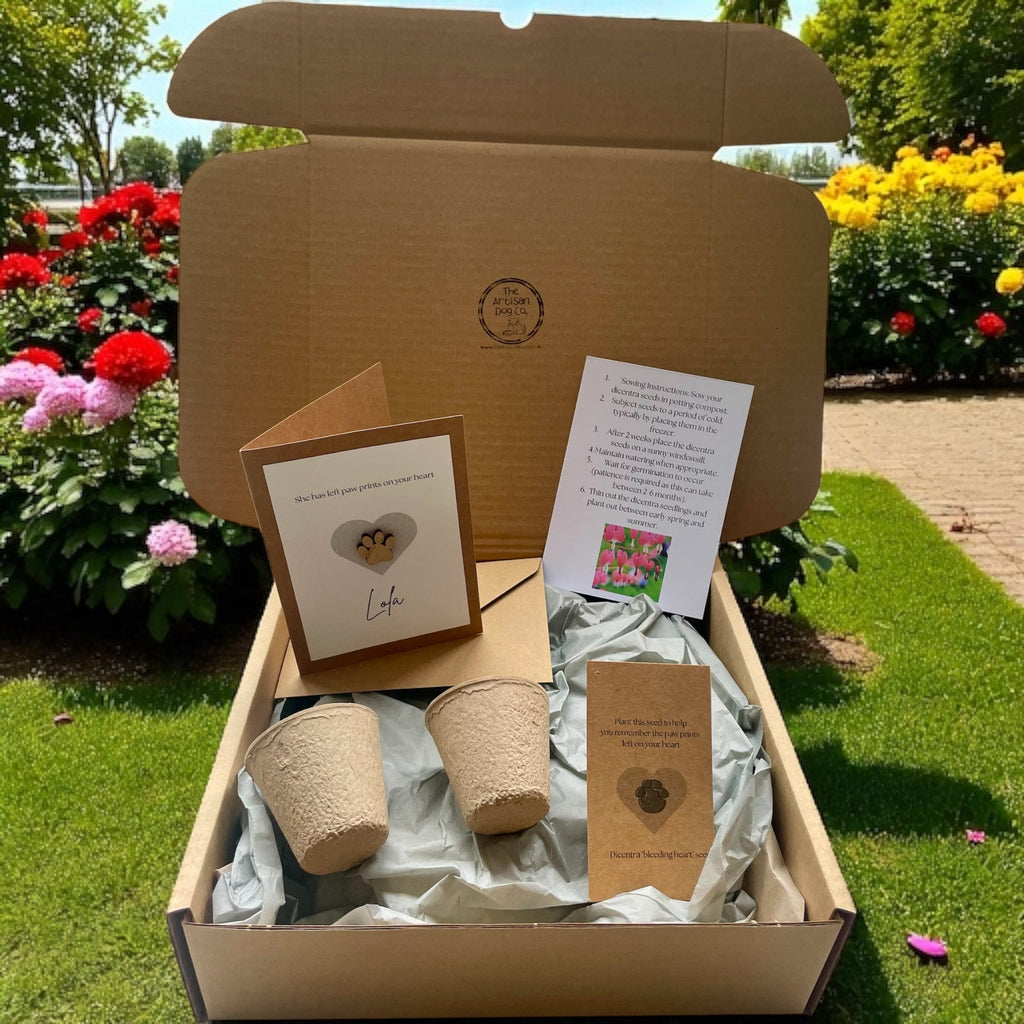 Personalised Pet Sympathy Gift Set – Memorial Plant Seeds & Card for Dog or Cat Loss