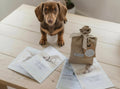 New Puppy Milestone Cards