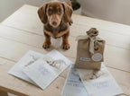New Puppy Milestone Cards