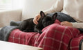 Drogo Red Check Dog Blanket | Luxury Handmade Reversible Sherpa Throw | Customisable Pet Blanket UK