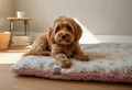 Double Sided Pillow Bed/Crate Cushion - The Dolly Floral Collection