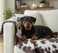 Moody Cow Reversible Pet Blanket | Faux Cowhide & Sherpa | Handmade Luxury Throw for Dogs | Protects Furniture UK