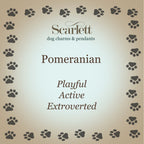Pomeranian Silver Dog Charm