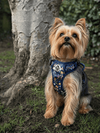 Rugged Rover™ Harness - Summer Meadow
