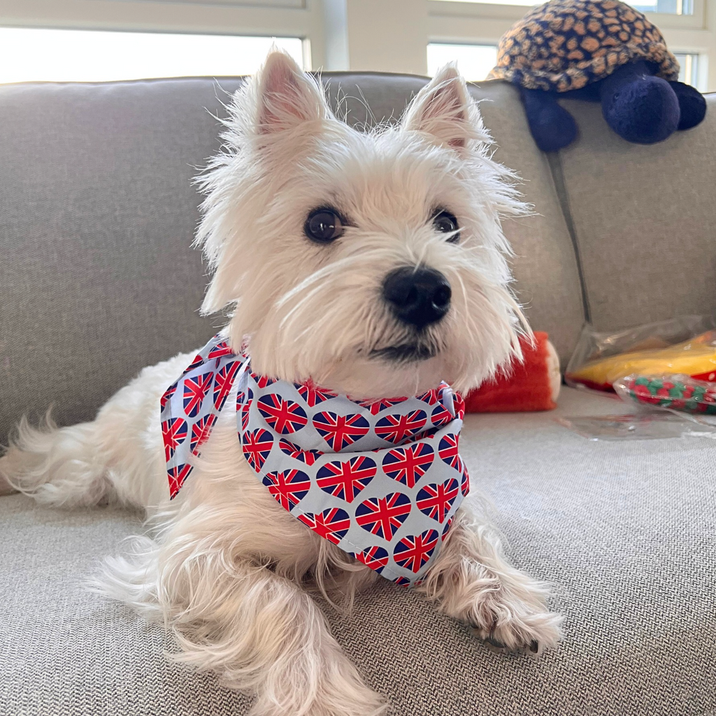 Union Jack Harmony Pet Bandana - Seamless British Design