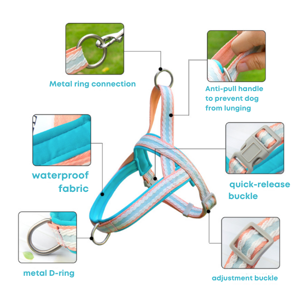 Harness with Matching Leash - Soft Blue and Aqua