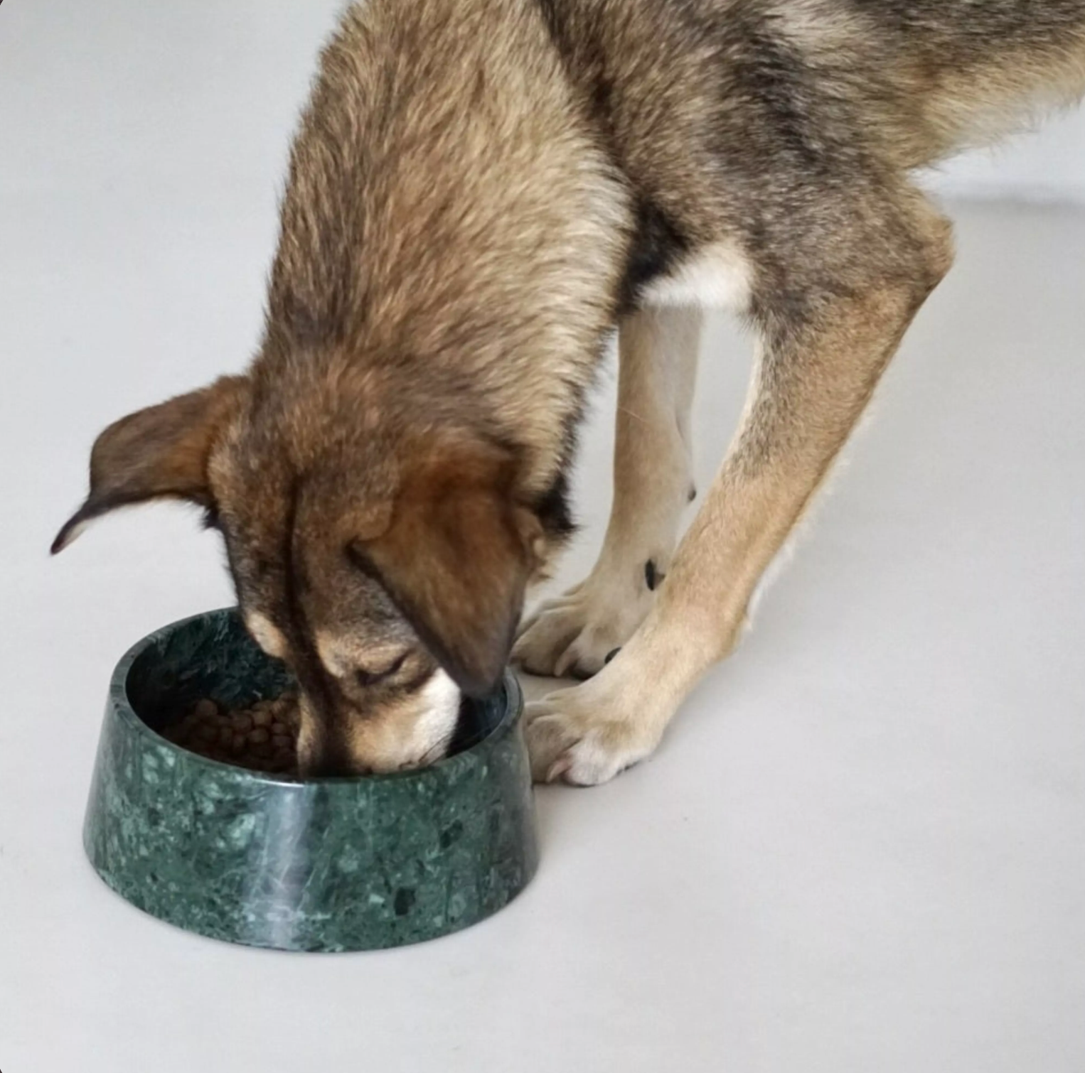 Dark Green Marble Dog Bowl