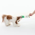 Spring Onion Squeaky Dog Toy – Interactive Play