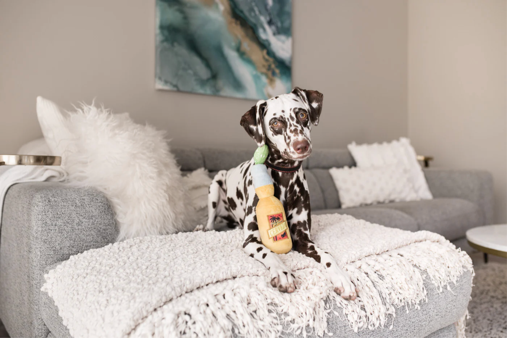 Canine Cerveza dog toy