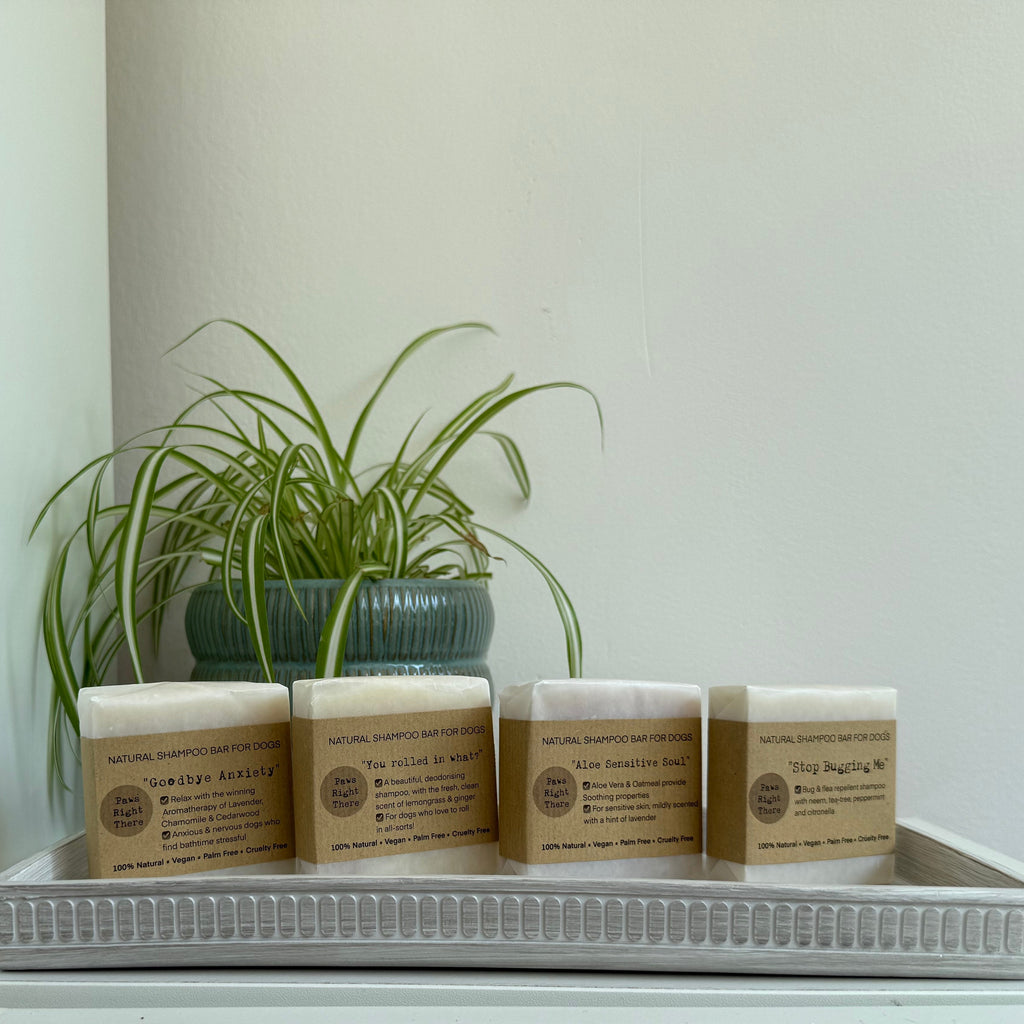 'Aloe Sensitive Soul' Natural Shampoo Bar