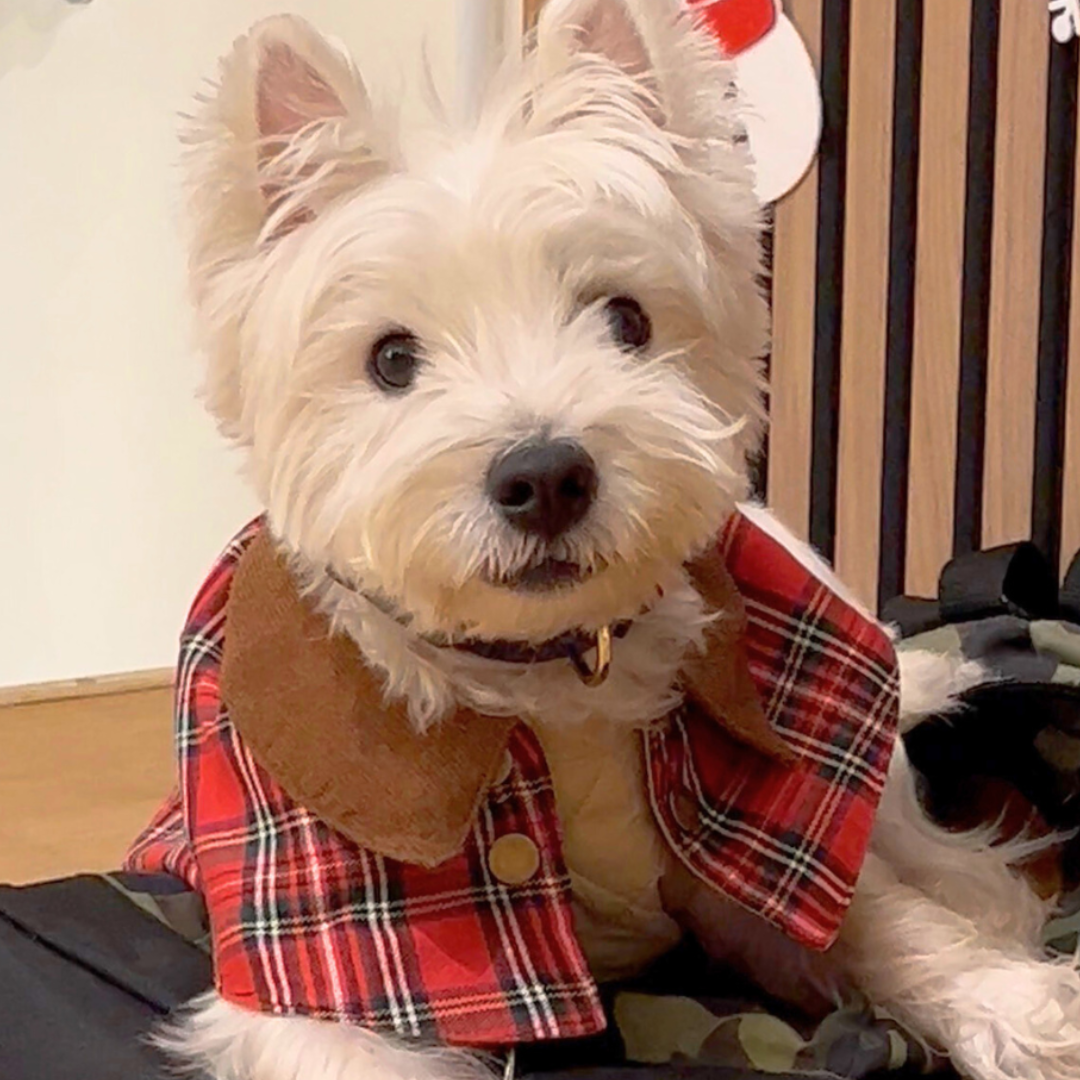 Handmade British Heritage Dog Coat —  Red Tartan Coat