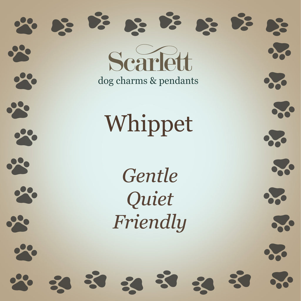 Whippet Silver Dog Charm