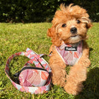 Poo Bag Holder - Autumn Breeze