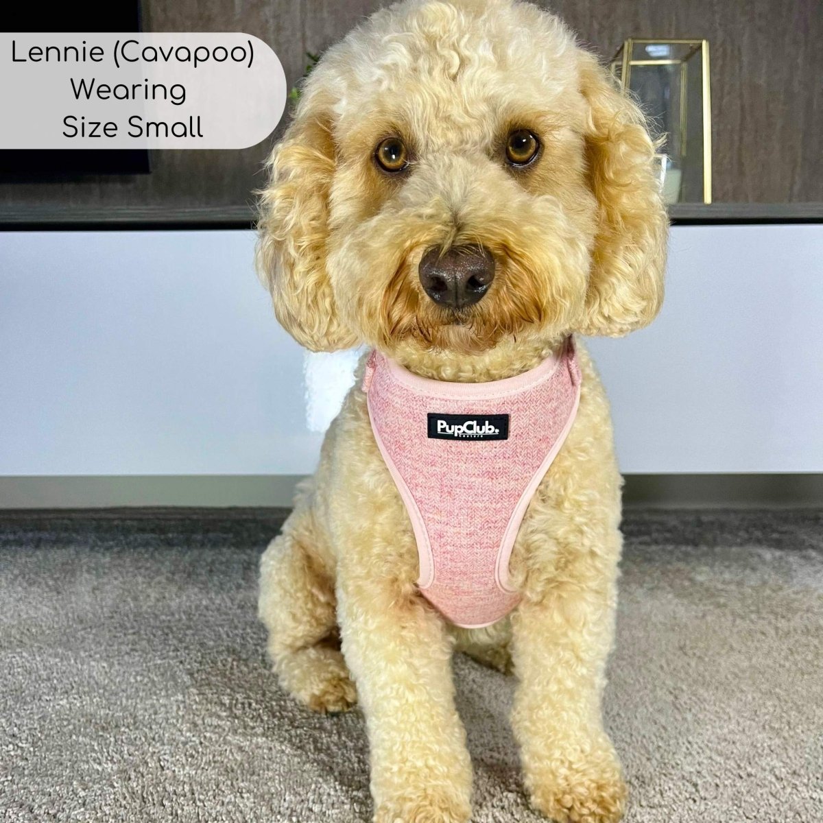 Tweed Adjustable Harness - Pink
