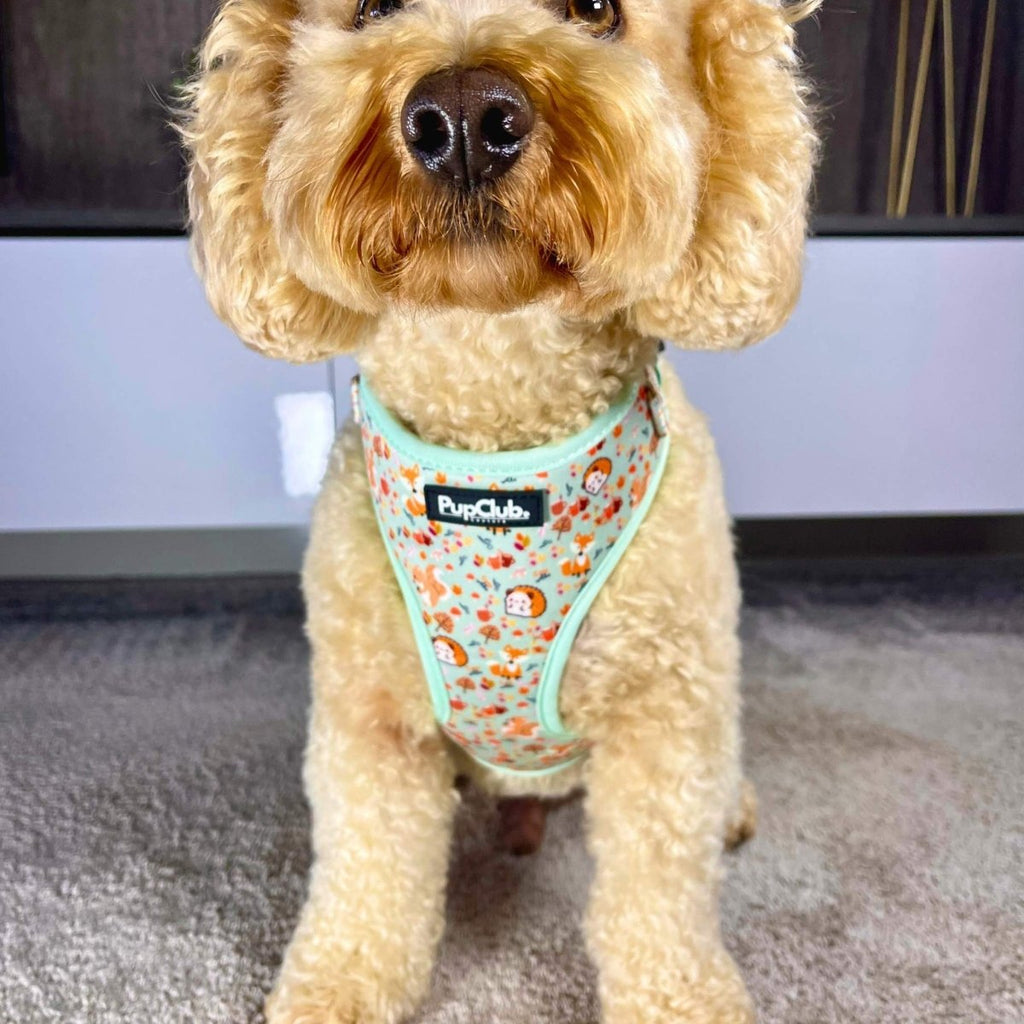 Adjustable Harness - Woodland Friends