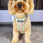 Adjustable Harness - Woodland Friends