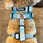 Adjustable Harness - Pastel Daisy