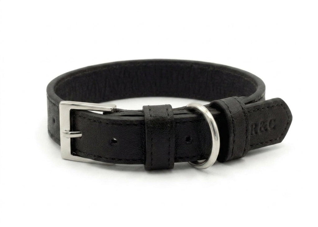 Black Leather Dog Collar
