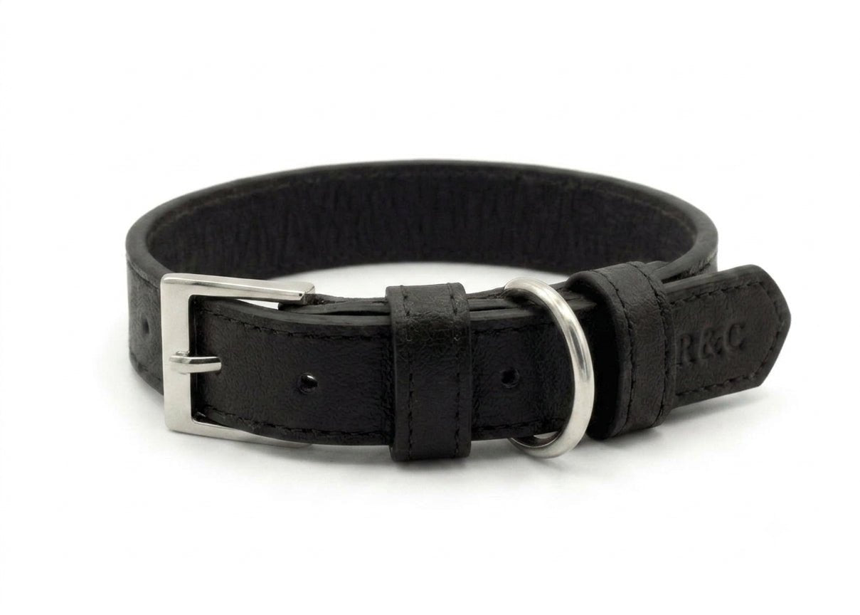 Black Leather Dog Collar