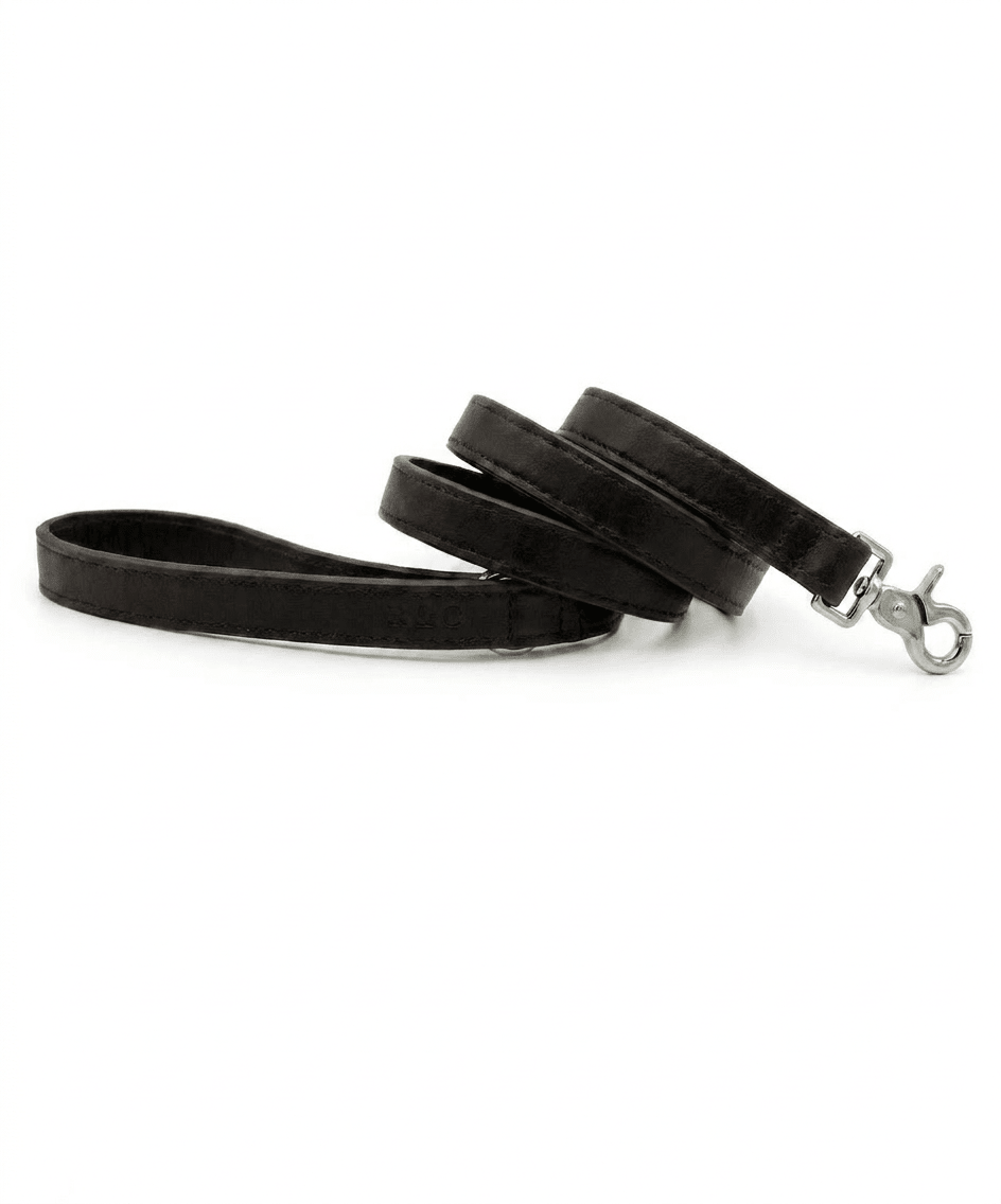 Black Leather Dog Lead
