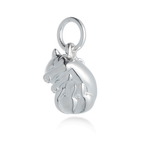 Cat Silver Charm