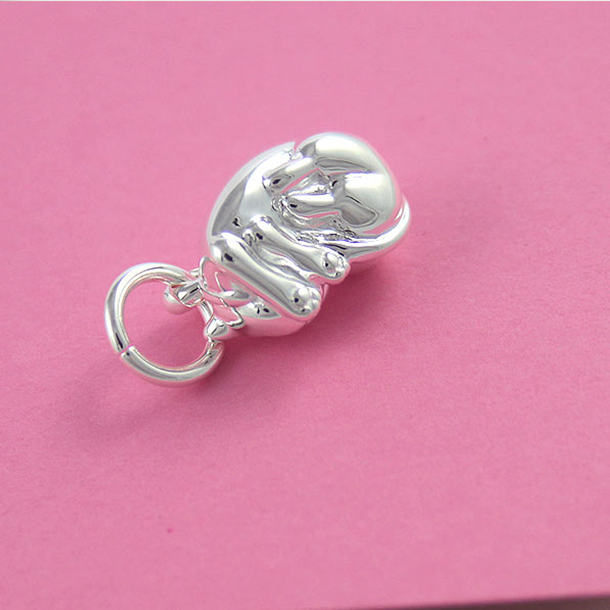 Cat Silver Charm