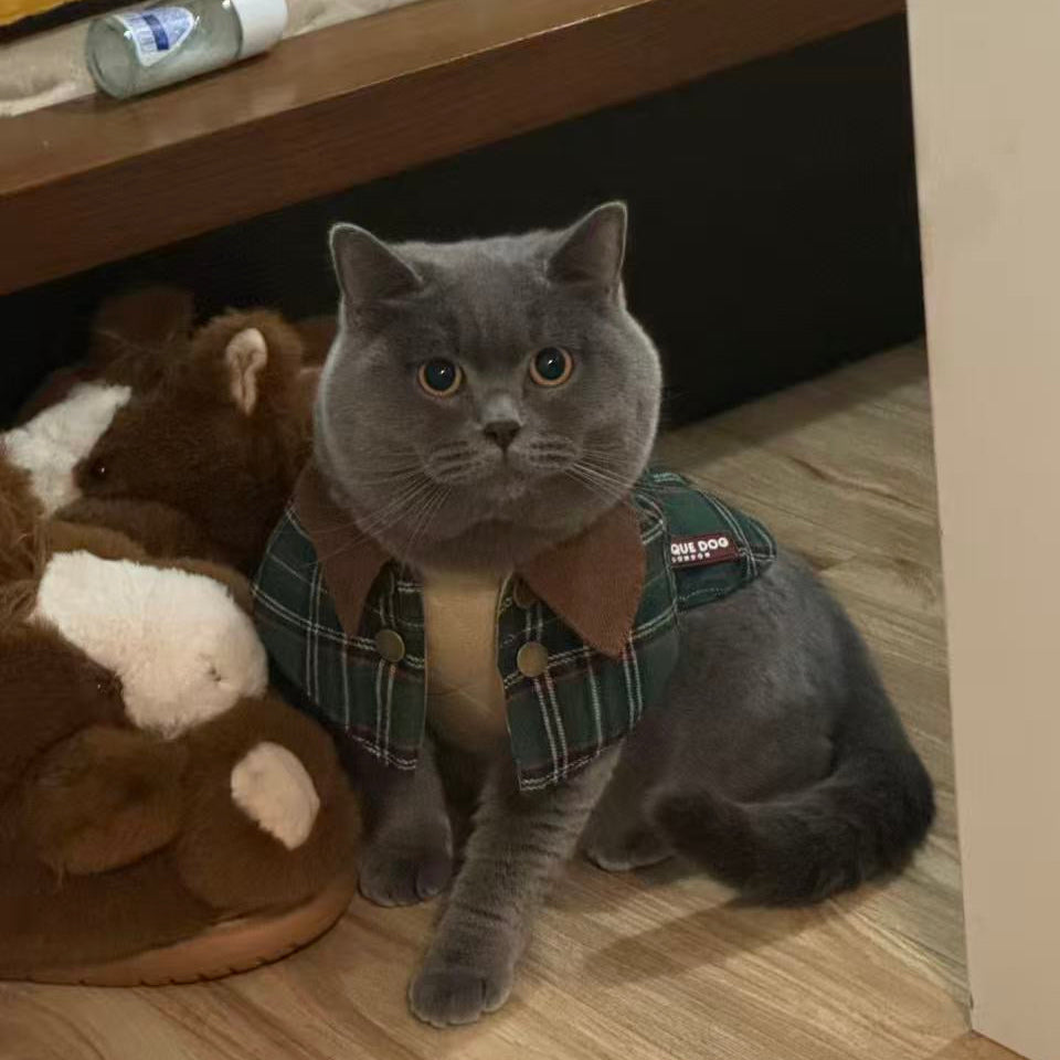 Handmade British Heritage Dog Coat —  Green Tartan Coat
