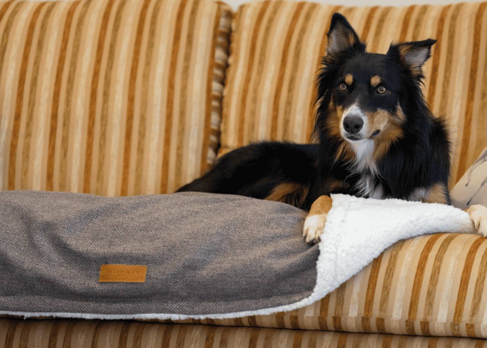 Luxury Washable Tweed Dog Blanket | Lincoln