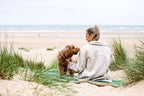 Luxury Washable Green Dog Blanket | Richmond
