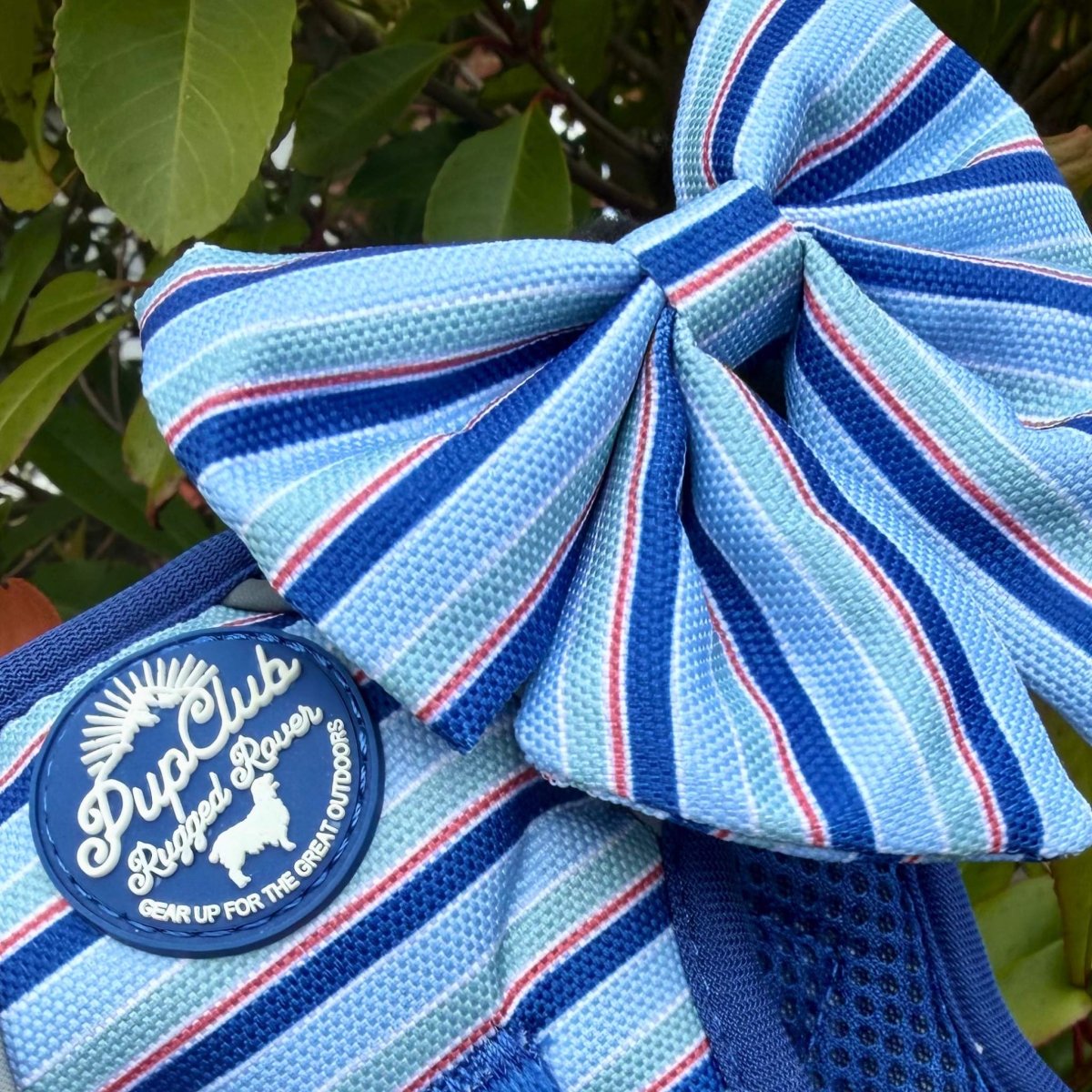 Dog Sailor Bow -  Sea Breeze Stripes