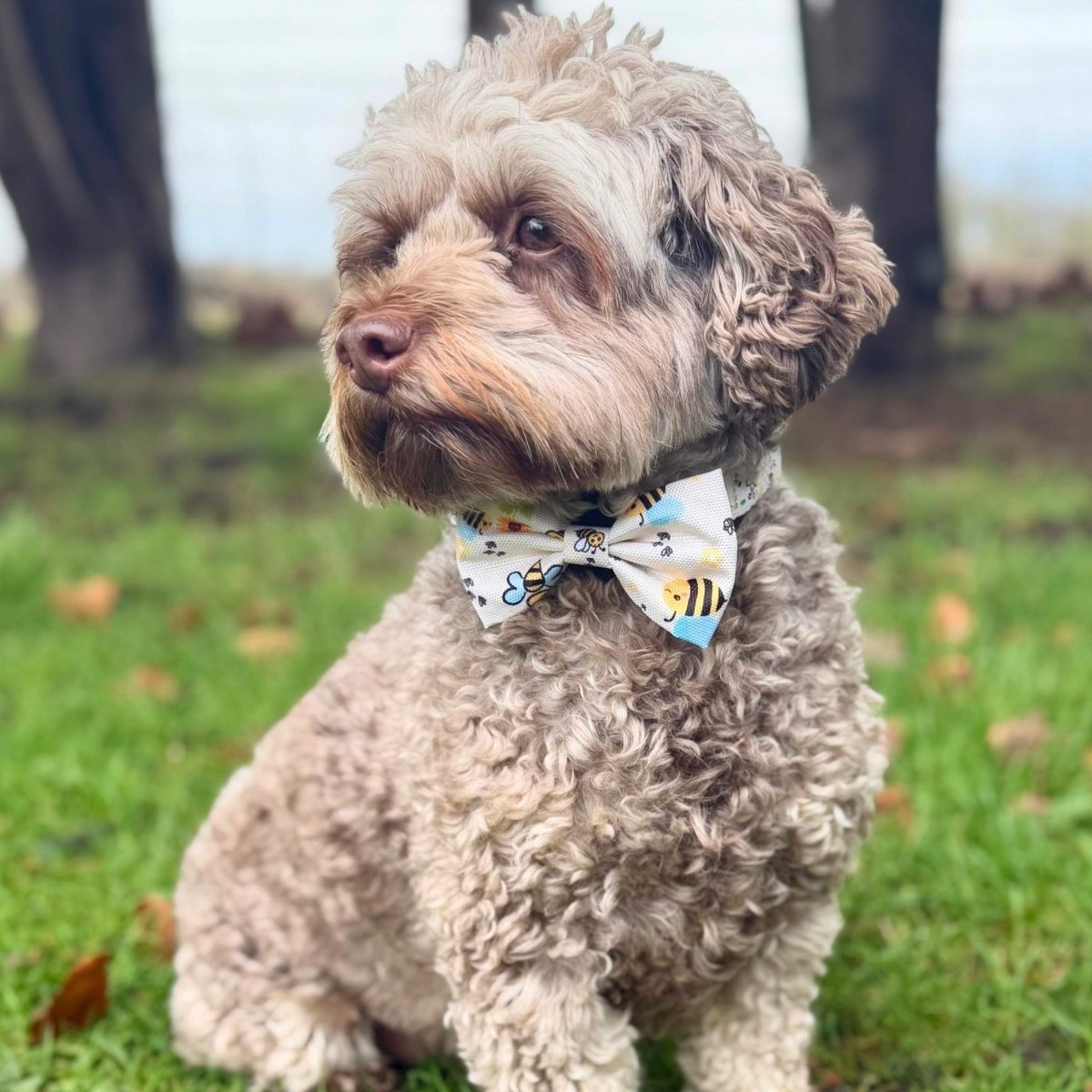 Dog Bow Tie - Bee-Utiful Summer