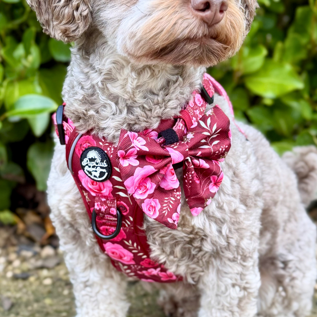Dog Sailor Bow -  Burgundy Bloom