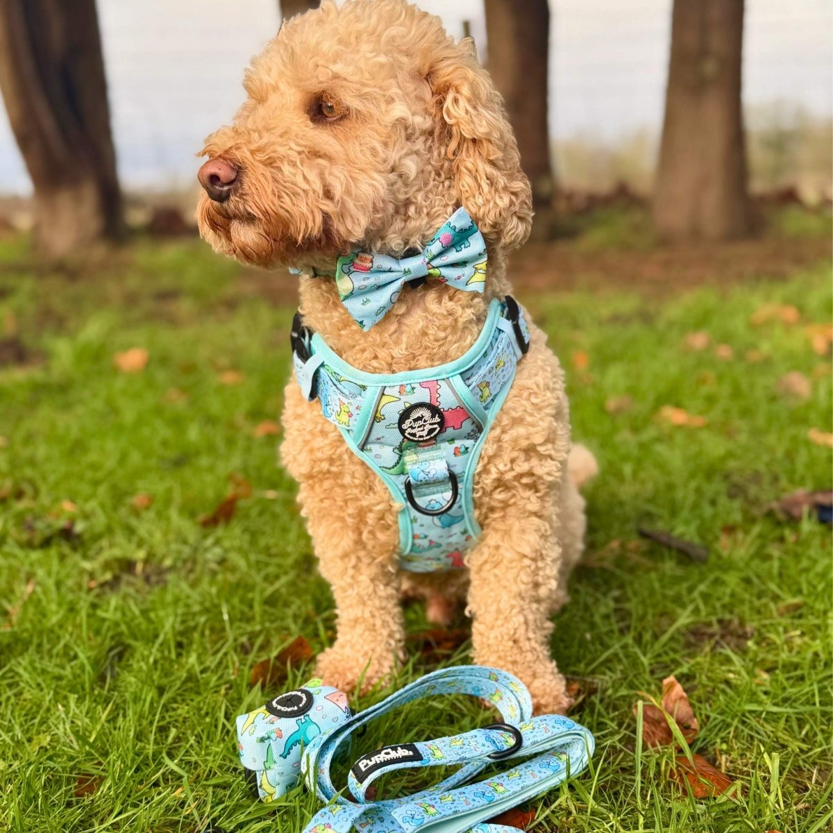 Dog Bow Tie -  Jurassic Party