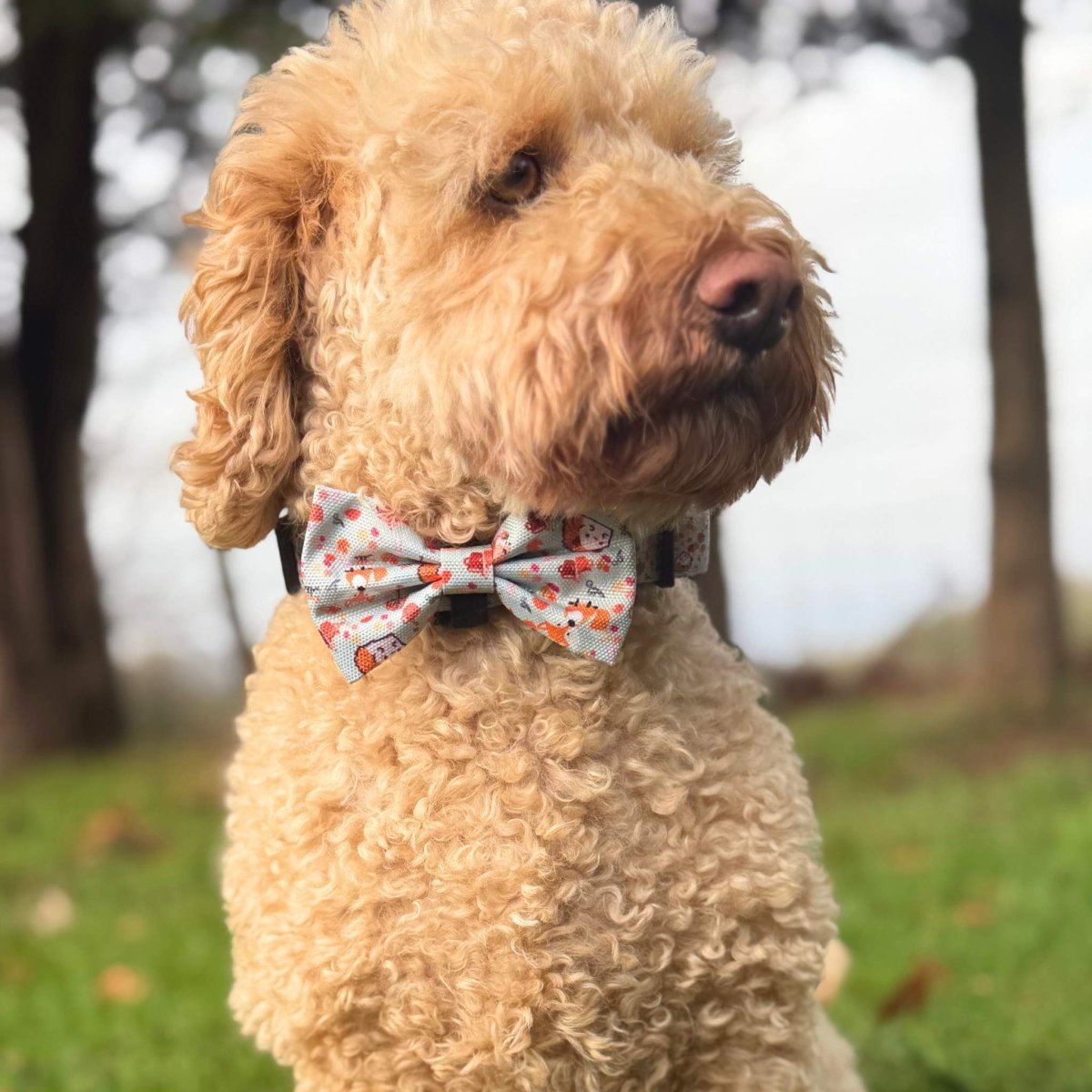 Dog Bow Tie - Woodland Friends