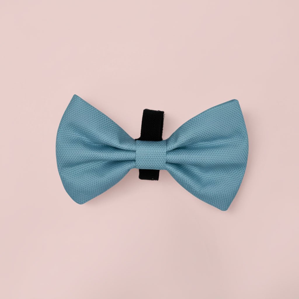 Dog Bow Tie - Pastel Blue