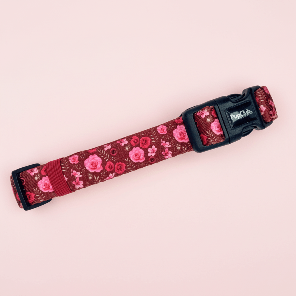 Collar - Burgundy Bloom